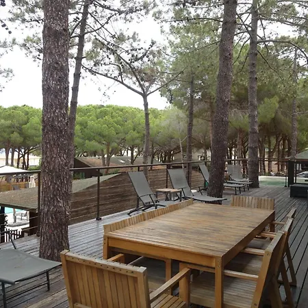 פארק נופש Holiday Home Villa En Bois By Interhome קאלבי